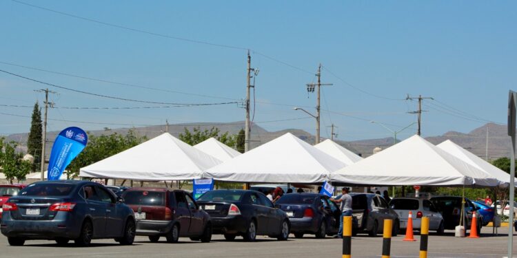 Atienden a más de 2,800 mascotas en jornada “Súbelos y Vacúnalos”