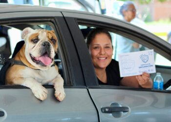 Atienden a más de 2,800 mascotas en jornada “Súbelos y Vacúnalos”