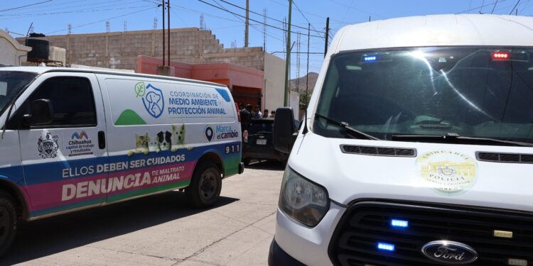 Lanzan unidad contra el maltrato animal