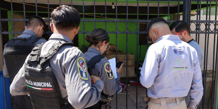 Lanzan unidad contra el maltrato animal