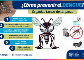 Previene dengue, zika o chikungunya con estas recomendaciones
