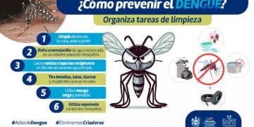 Previene dengue, zika o chikungunya con estas recomendaciones