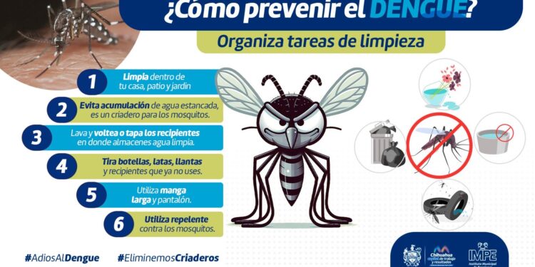 Previene dengue, zika o chikungunya con estas recomendaciones