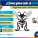 Previene dengue, zika o chikungunya con estas recomendaciones