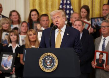 Cárteles tienen “tremendo control” sobre políticos y personas electas en México: Trump