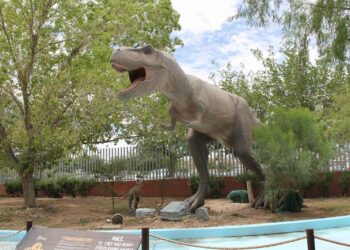 Museo La Rodadora: espacio de esparcimiento para chicos y grandes