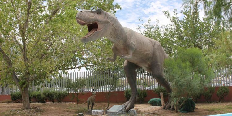 Museo La Rodadora: espacio de esparcimiento para chicos y grandes