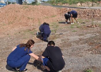 Jóvenes con problemas de conducta plantan árboles en el ISSCUU
