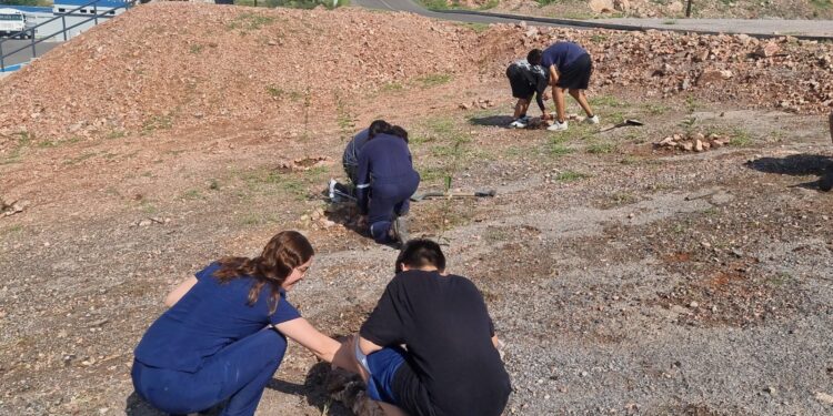 Jóvenes con problemas de conducta plantan árboles en el ISSCUU