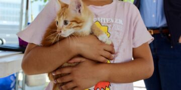 Exhortan a prevenir la rickettsia con cuidado responsable de mascotas