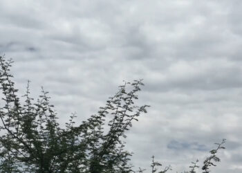 Chihuahuenses aprovechan clima nublado para sus actividades