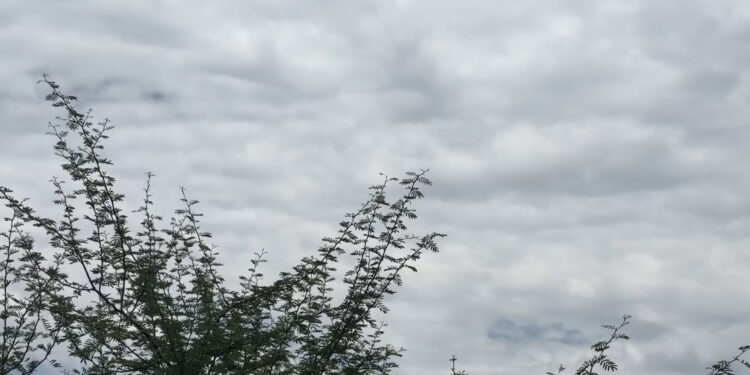 Chihuahuenses aprovechan clima nublado para sus actividades