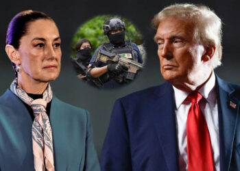 Cárteles van a la quiebra gracias al liderazgo de Trump y Sheinbaum: embajador de EU