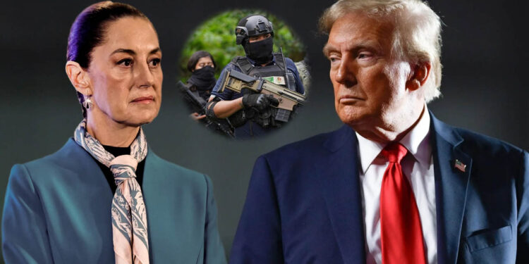 Cárteles van a la quiebra gracias al liderazgo de Trump y Sheinbaum: embajador de EU