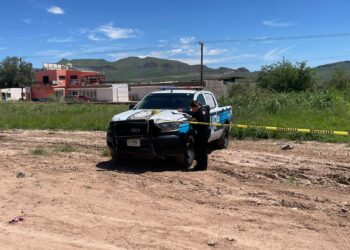 Reportan el hallazgo de restos óseos cerca del Panteón Municipal