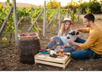 Fiestas de la Vendimia: un festín de vino y tradición