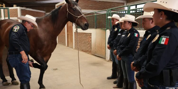Se integran 102 nuevos policías a grupos especiales de la DSPM