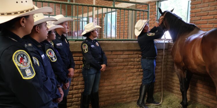 Se integran 102 nuevos policías a grupos especiales de la DSPM