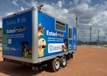 ¿Quieres esterilizar a tu mascota? Agenda cita en el Esterimóvil