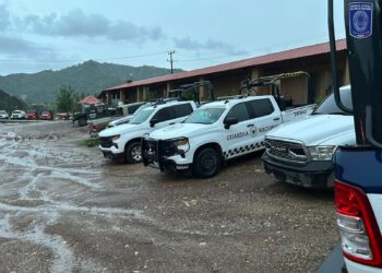 Realizan AEI, DEFENSA, SSPE y GN operativos conjuntos en Moris