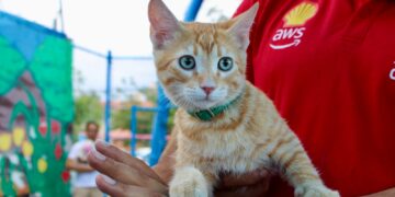 Jornada de servicios gratuitos para mascotas en Villa Juárez