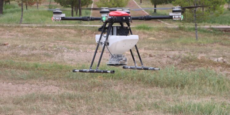 Innovación y tecnología se unen para reforestar la Sierra Tarahumara