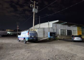 Clausuran crematorio de mascotas clandestino en Chihuahua