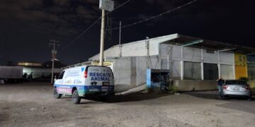 Clausuran crematorio de mascotas clandestino en Chihuahua