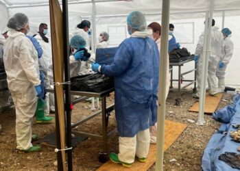 Identifican a 53 personas localizadas sin vida en el crematorio ‘Plenitud’