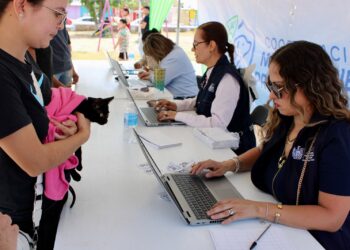 Más de 3 mil mascotas ya forman parte del Registro Municipal de Animales de Compañía