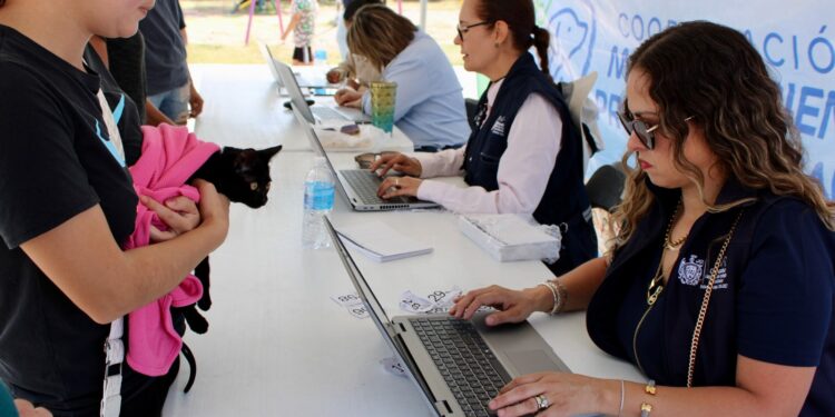 Más de 3 mil mascotas ya forman parte del Registro Municipal de Animales de Compañía