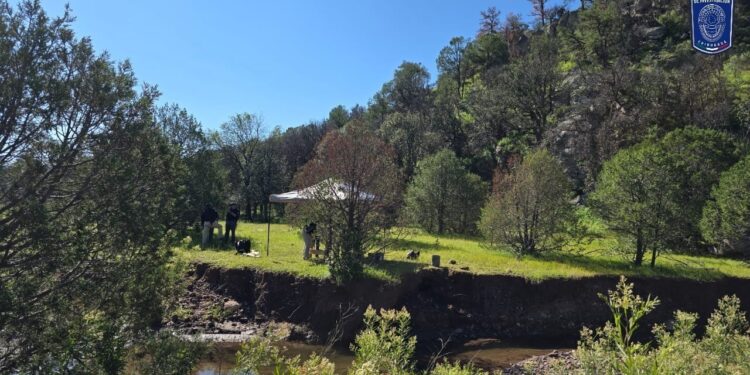 Localizan restos óseos durante rastreo en localidad de Carichí