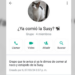 “¿Ya comió la Susy?”: gatita provoca grupo familiar en WhatsApp
