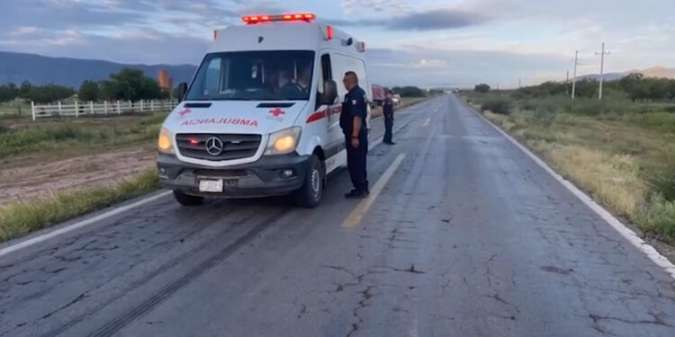 Mujer muere atropellada en la carretera Aldama–Ojinaga