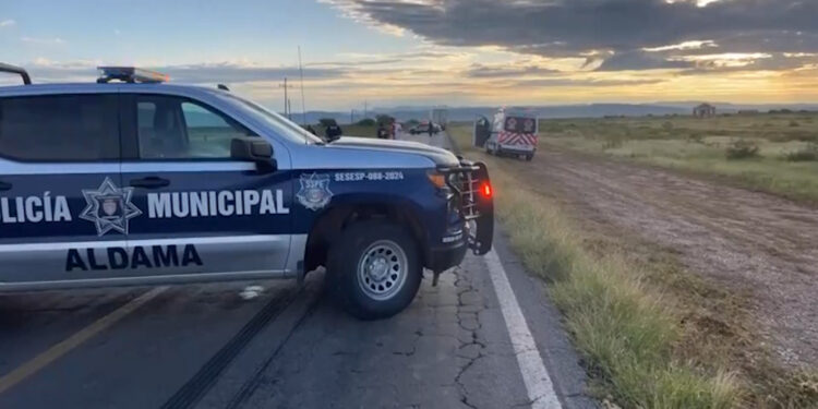 Mujer muere atropellada en la carretera Aldama–Ojinaga