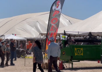 Anuncian Festival de Otoño 2025 en Cuauhtémoc