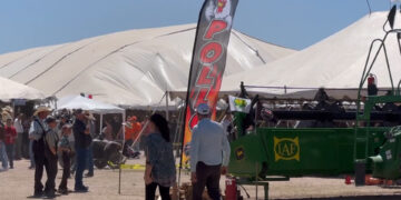 Anuncian Festival de Otoño 2025 en Cuauhtémoc