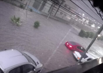 Lluvias causan árboles caídos e inundaciones en Chihuahua