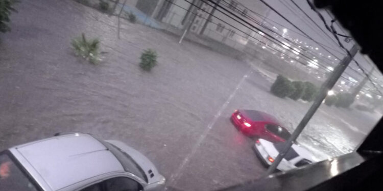 Lluvias causan árboles caídos e inundaciones en Chihuahua