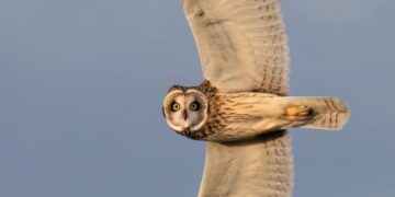 ¡Mirada que hipnotiza!