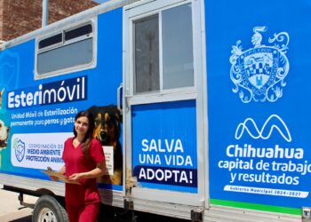 Atenderá Esterimóvil a perros y gatos en centro comunitario Chihuahua 2000