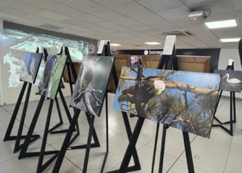 Exponen “Alas que vuelan con el viento” en el Aeropuerto de Chihuahua