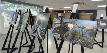 Exponen “Alas que vuelan con el viento” en el Aeropuerto de Chihuahua