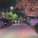 Ejecutan a hombre en la colonia Insurgentes