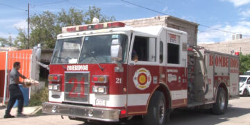 Rescatan a un zorrillo de una lavadora en Delicias