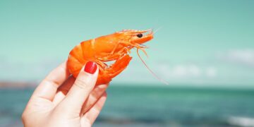 Anatomía sorprendente del camarón