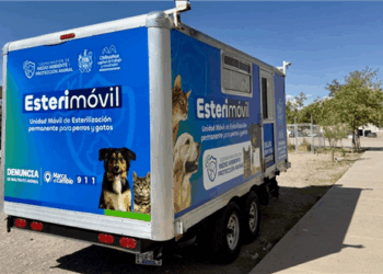 Esterimóvil del Municipio estará en centro comunitario San Martín del 6 al 17 de octubre