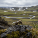 Por primera vez se registra la presencia de mosquitos en Islandia