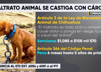 Sancionan el maltrato animal en Chihuahua