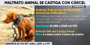 Sancionan el maltrato animal en Chihuahua